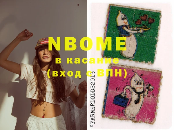 прущие грибы Бородино